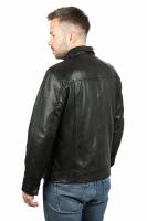 Kurtka skórzana męska z kołnierzem ROCCO - sklep z kurtkami skórzanymi DAVID RYAN